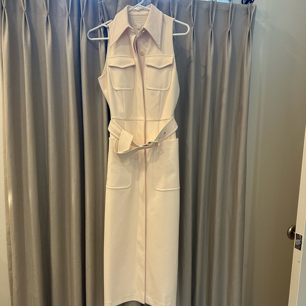 Ted Baker Dress